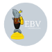 EBV Consulting SEO PYMES