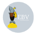 Logo de EBV Consulting
